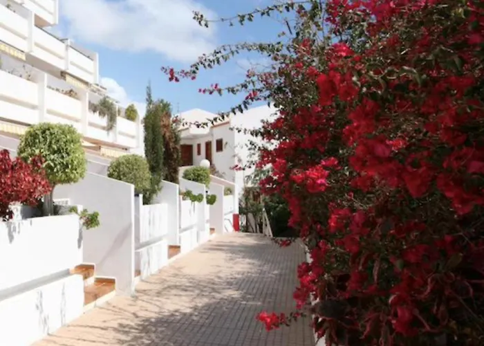 Appartamento Olimpus Leasure *